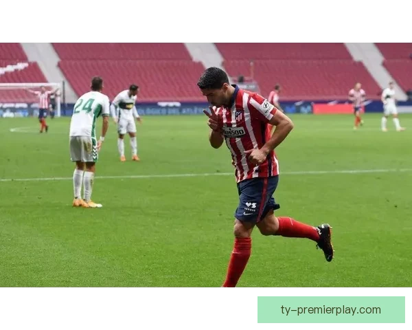 世体：本菲卡球迷逐卡布拉尔